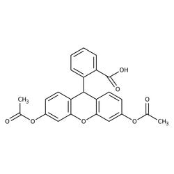 Dihydrofluorescein diacetate, 97%