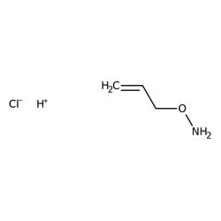 O-Allylhydroxylamine Hydrochloride 98.0+%, TCI America&trade;