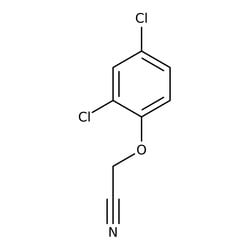 2,4-Dichlorophenoxyacetonitrile, 97%, Thermo Scientific&trade;