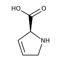 3,4-Dehydro-L-proline 99.0+%, TCI America™