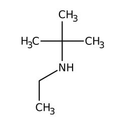 N-tert-Butylethylamine 98.0+%, TCI America&trade;