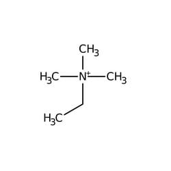 Ethyltrimethylammonium Iodide 98.0+%, TCI America™