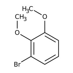 3-Bromoveratrol, 95 %, Thermo Scientific 1 g | Buy Online | Thermo Scientific Alfa Aesar | Fisher Scientific