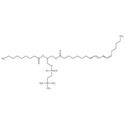 Lecithin From Soybean, Serva Electrophoresis 100 g | Buy Online | Serva Electrophoresis | Fisher Scientific