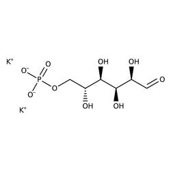 D-Glucose-6-phosphate dipotassium salt hydrate, 95%, MP Biomedicals 1 g | Buy Online | MP Biomedicals | Fisher Scientific