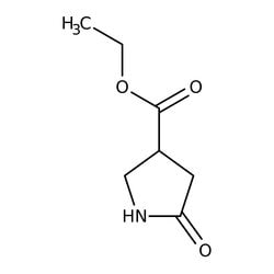 Ethyl 2-oxopyrrolidine-4-carboxylate, 96%, Thermo Scientific 250 mg | Buy Online | Thermo Scientific Chemicals | Fisher Scientific