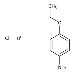 p-Phenetidine Hydrochloride 98.0+%, TCI America™