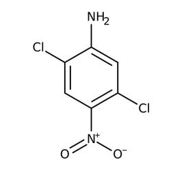 2,5-Dichloro-4-nitroaniline 98.0+%, TCI America™