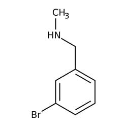 3-Bromo-N-methylbenzylamine, 97%, Thermo Scientific 1 g | Buy Online | Thermo Scientific Alfa Aesar | Fisher Scientific