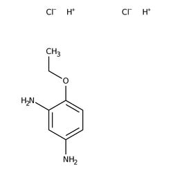 4-Ethoxy-1,3-phenylenediamine Dihydrochloride 98%, Thermo Scientific 50 g | Buy Online | Thermo Scientific Chemicals | Fisher Scientific
