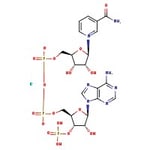 Thumbnail_beta-Nicotinamide adenine dinucleotide phosphate monopotassium salt, ca