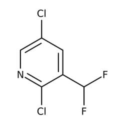 2,5-Dichloro-3-(difluoromethyl)pyridine, 95%, Thermo Scientific 250 mg | Buy Online | Thermo Scientific Alfa Aesar | Fisher Scientific