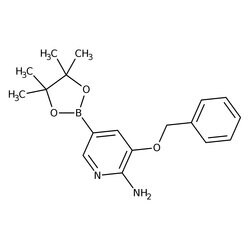 2-Amino-3-benzyloxypyridine-5-boronic acid pinacol ester, 96% 250 mg | Buy Online | Thermo Scientific Alfa Aesar | Fisher Scientific