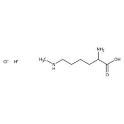 N -Methyl-L-lysine Hydrochloride 98%, Thermo Scientific 100 mg | Buy Online | Thermo Scientific Chemicals | Fisher Scientific