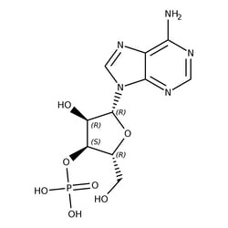 Adenosine-3'-monophosphate, TRC 25 mg | Buy Online | Toronto Research Chemicals | Fisher Scientific