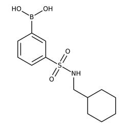 3-(Cyclohexylmethylsulfamoyl)benzeneboronic acid, 97%, Thermo Scientific 250 mg | Buy Online | Thermo Scientific Chemicals | Fisher Scientific