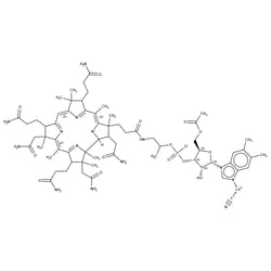 Acetyl Vitamin B12, TRC 100 mg | Buy Online | Toronto Research Chemicals | Fisher Scientific