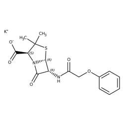 Penicillin V, TRC 1 g | Buy Online | Toronto Research Chemicals | Fisher Scientific