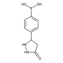 Ácido 4-(5-oxo-3-pirazolidinil)bencenoborónico, 96 % 250 mg | Buy Online | Thermo Scientific Alfa Aesar | Fisher Scientific