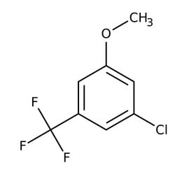 3-Chloro-5-(trifluoromethyl)anisole, 97%, Thermo Scientific 1 g | Buy Online | Thermo Scientific Alfa Aesar | Fisher Scientific