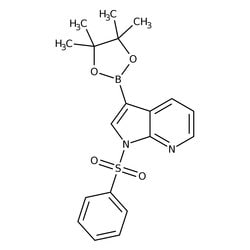 1-Phenylsulfonyl-7-azaindole-3-boronic acid pinacol ester, 95%, Thermo Scientific 250 mg | Buy Online | Thermo Scientific Alfa Aesar | Fisher Scientific