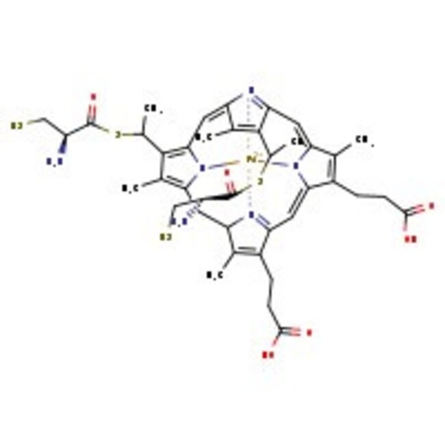 Cytochrome C From Horse Heart MP Biomedicals 500 Mg Buy Online MP 