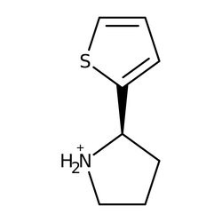 2-(2-Thienyl)pyrrolidine, 97%, Thermo Scientific™