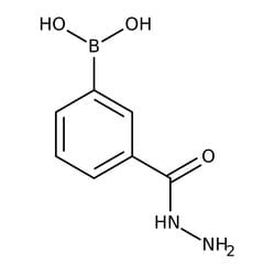 3-(Hydrazinocarbonyl)benzeneboronic acid, 97%, Thermo Scientific&trade;