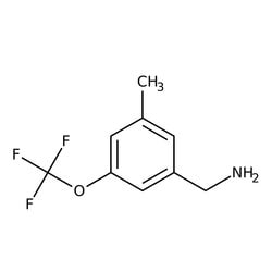 3-Methyl-5-(trifluoromethoxy)benzylamine, 97%, Thermo Scientific 250 mg | Buy Online | Thermo Scientific Alfa Aesar | Fisher Scientific