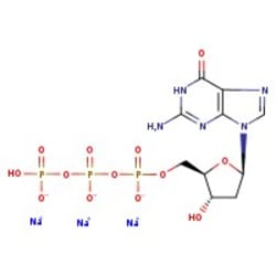 2'-Deoxyguanosine-5'-Triphosphate Trisodium Salt, 98%, MP Biomedicals 1 g | Buy Online | MP Biomedicals | Fisher Scientific