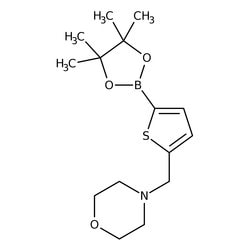 5-(4-Morpholinylmethyl)thiophene-2-boronic acid pinacol ester, 97%, Thermo Scientific&trade;