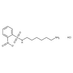 N-(6-Aminohexyl)-2-nitrobenzenesulfonamide Hydrochloride 95.0+%, TCI America 1 g | Buy Online | TCI America | Fisher Scientific