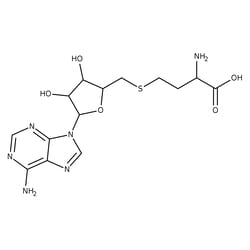 S-(5'-Adenosyl)-L-homocysteine, TRC 10 mg | Buy Online | Toronto Research Chemicals | Fisher Scientific