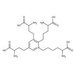 Isodesmosine, 99%, MP Biomedicals