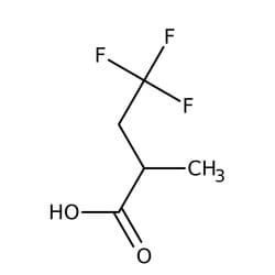 4,4,4-Trifluoro-2-methylbutyric acid, 95%, Thermo Scientific™