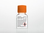 Corning™ Antibiotikum-Antimykotikum-Lösung