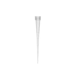 Axygen&trade;&nbsp;Pipette Tip, Extra Long, Reload, Non-Sterile