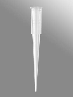 Axygen 200 L Universal Pipetter Tips: 200 L, Beveled, Reference 1 to 200 &mu;L | Buy Online | Axygen&trade; | Fisher Scientific