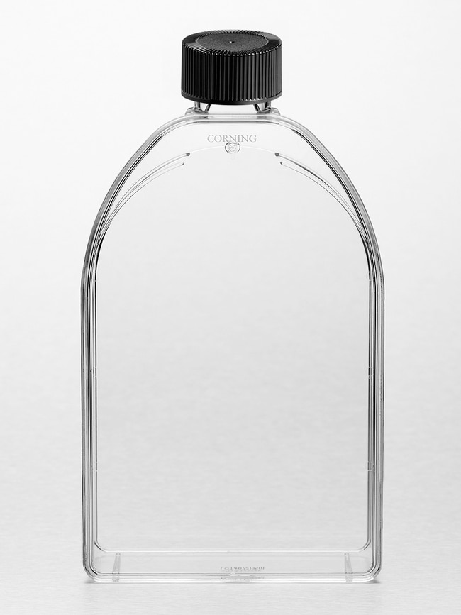 CorningCell Culture Treated FlasksFlasksCell Culture Flasks Fisher