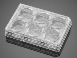 Corning™ PureCoat™ Amine 24-well Plate