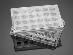 Falcon™ HTS 24-well Multiwell Permeable Support System with High Density PET Membrane