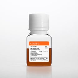 CORNING MEDIA TECH Fetalt bovinserum 50 mL | Buy Online | CORNING MEDIA TECH&trade; | Fisher Scientific