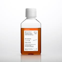 Corning Media Tech Fetalt bovint serum