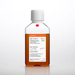 Corning™ Fetal Bovine Serum, Premium, New Zealand Origin