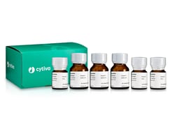 Cytiva Dissociation Enzyme Mix A - Lung