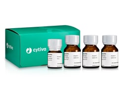 Cytiva Dissociation Enzyme Mix B - Liver