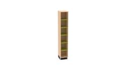 Diversified Spaces Access Cubby with Lime Green Metal Shelves