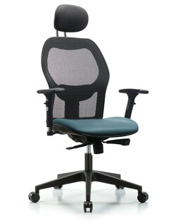Fisherbrand Executive Windrowe Mesh Back Chair with Grade A Seat, Head