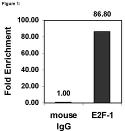 MilliporeSigma™ Upstate™ E2F-1α, Mouse monoclonal, ChIP Validated Antibody and Primer Set