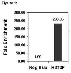 MilliporeSigma™ Upstate™ ChIPAb+™ Phospho-Histone H3 (Thr3)α, Rabbit Monoclonal, ChIP Validated Antibody and Primer Set